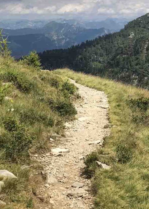 Fases del Final de La Vida – finaldevida.com sendero de montaña que evoca el camino del Final de la Vida