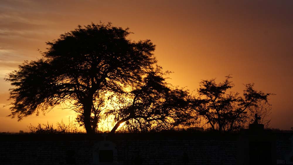 NO HAY UNA MANERA CORRECTA DE MORIR . finaldevida.com